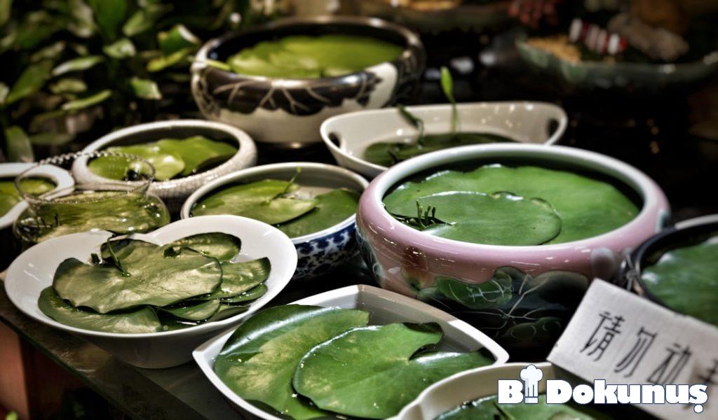 Keto Patlıcanlı Yoğurt Kavurması tarifi için hazırlanmış görsel