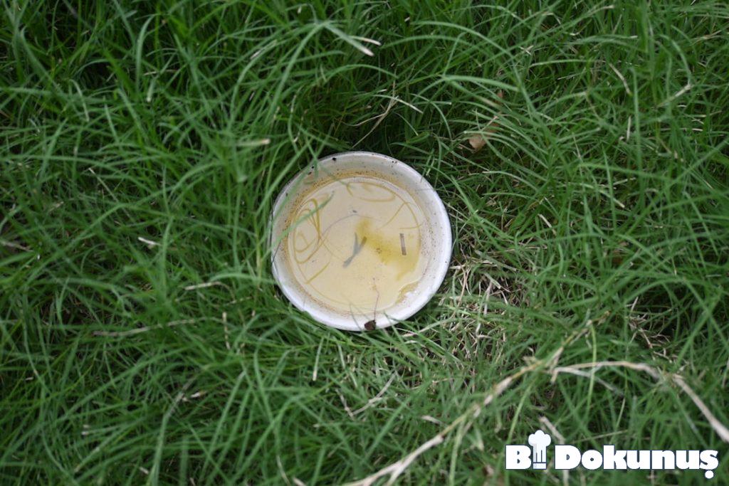 Taze Üzümlü Yoğurt Mezesi Tarifi tarifi için hazırlanmış görsel